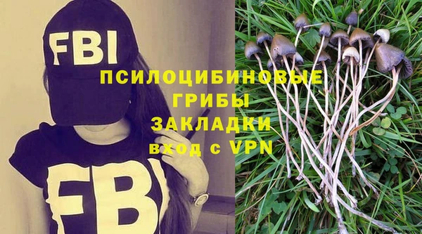 дурь Алзамай